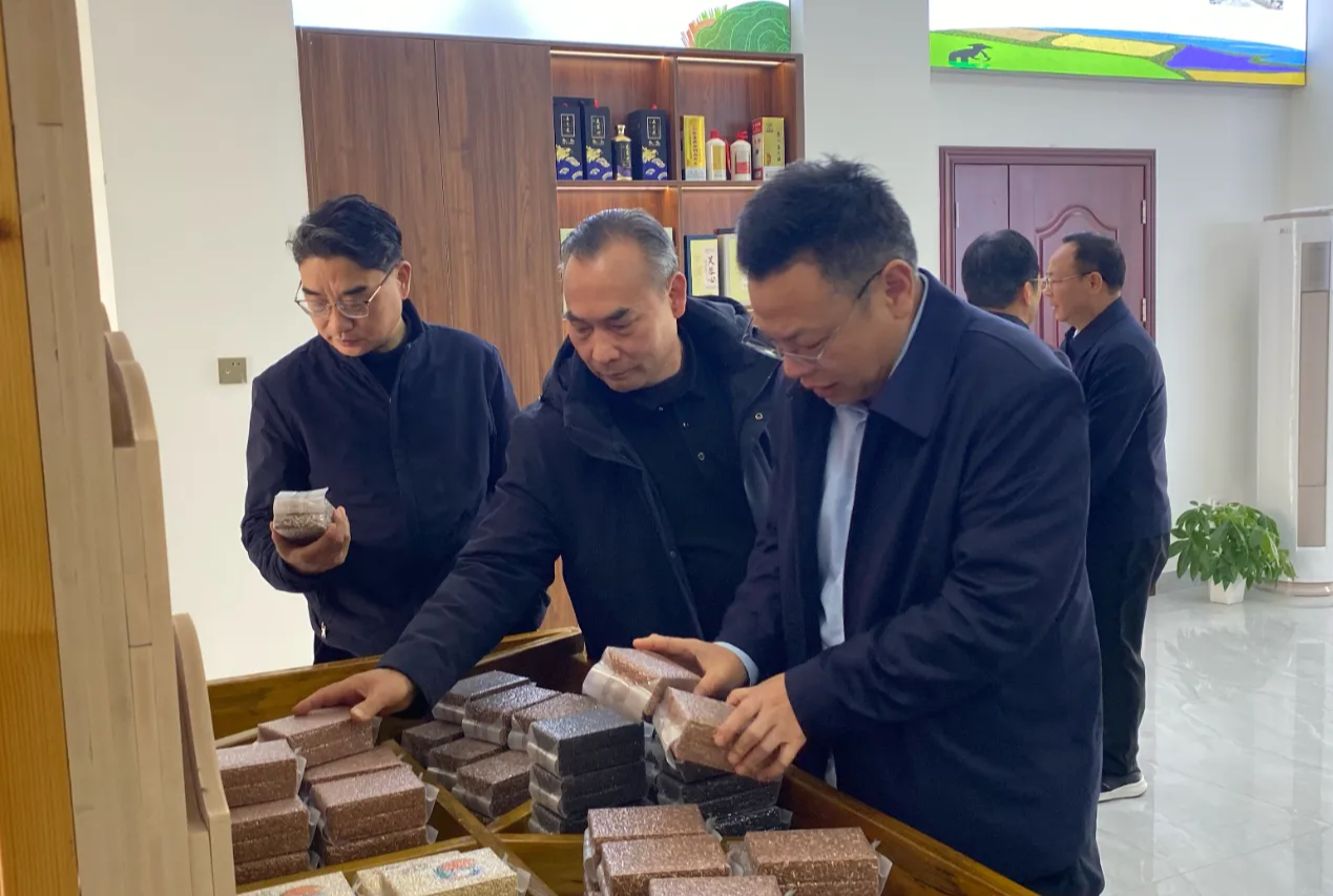 微信图片_20260105105946_356_155 微信图片_20260105105946_356_155